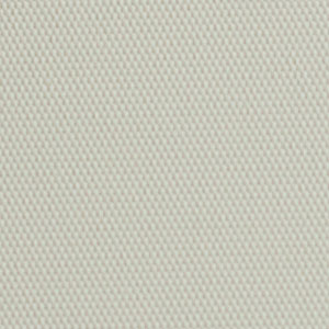 Coconut 0154